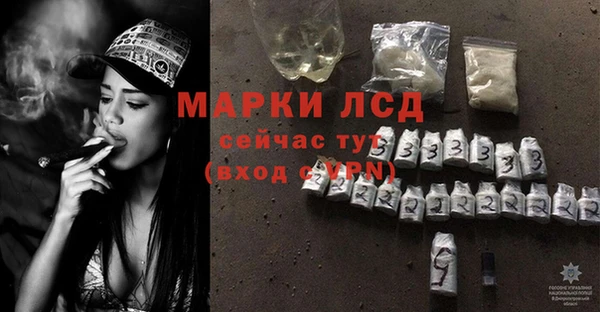 стафф Аркадак