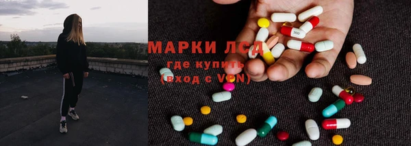 стафф Аркадак